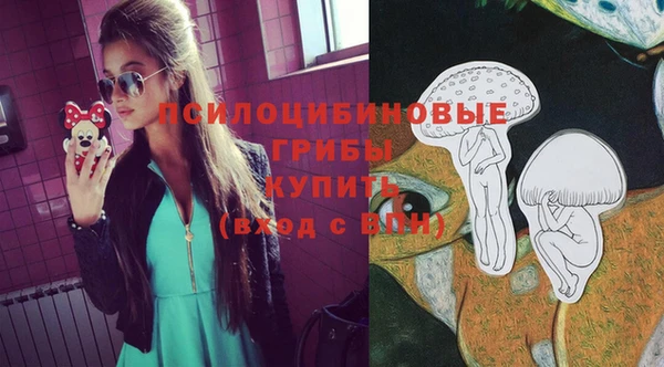 СК Абаза