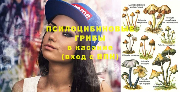 МДПВ Алексеевка